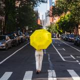 Umbrella